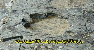 رد پای 50 دایناسور تی‌ رکس