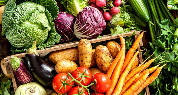 سبزیجات مفید و سلامت بخش