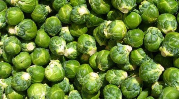 مصرف این سبزیجات مفید و سلامت بخش را نباید قطع کرد ؟ 2 سبزیجات مفید و سلامت بخش