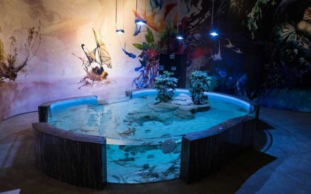 بزرگترین آکواریم ایران یعنی آکواریوم انزلی را تماشا کنید 6 بزرگترین آکواریم ایران