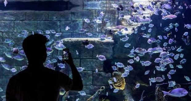 بزرگترین آکواریم ایران یعنی آکواریوم انزلی را تماشا کنید 8 بزرگترین آکواریم ایران
