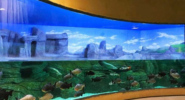 بزرگترین آکواریم ایران یعنی آکواریوم انزلی را تماشا کنید 4 بزرگترین آکواریم ایران