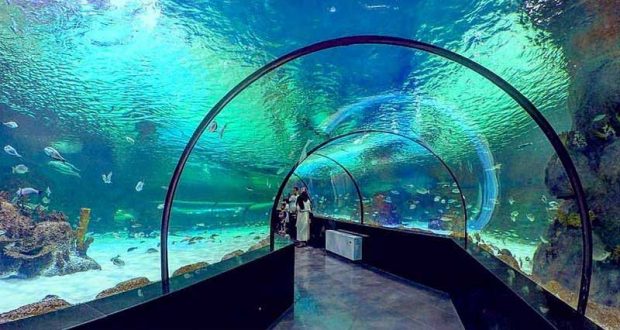 بزرگترین آکواریم ایران یعنی آکواریوم انزلی را تماشا کنید 5 بزرگترین آکواریم ایران