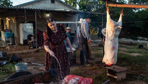 بهترین عکس های سال 2019 نشنال جئوگرافیک