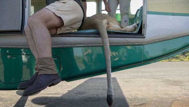 بهترین عکس های سال 2019 نشنال جئوگرافیک