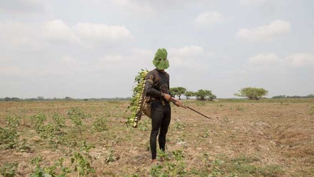 بهترین عکس های سال 2019 نشنال جئوگرافیک