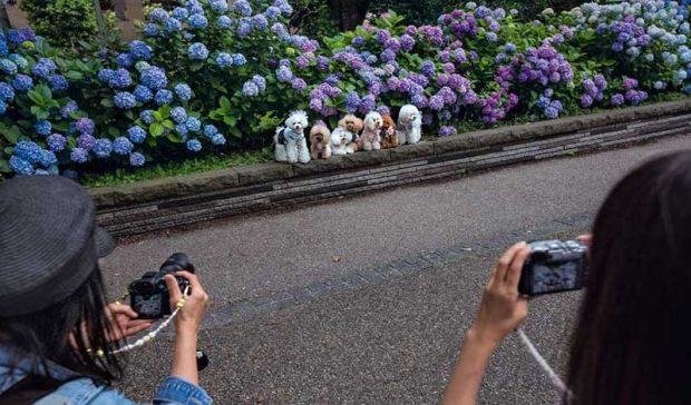 بهترین عکس های سال 2019 نشنال جئوگرافیک