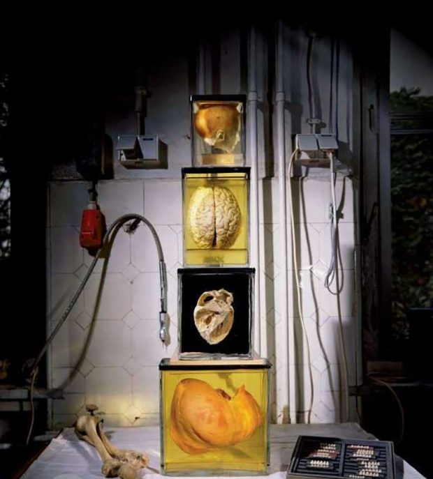 بهترین عکس های سال 2019 نشنال جئوگرافیک