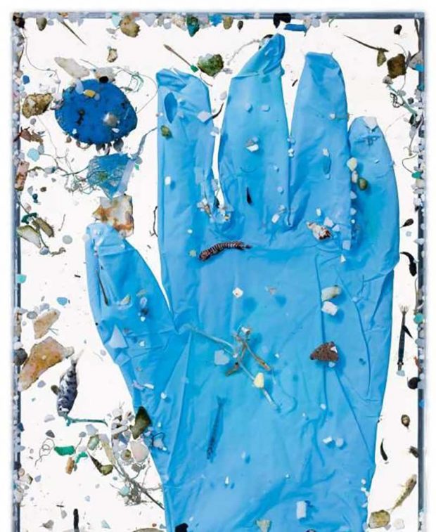 بهترین عکس های سال 2019 نشنال جئوگرافیک