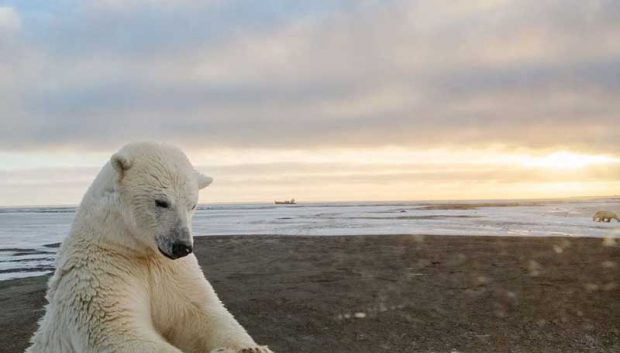 بهترین عکس های سال 2019 نشنال جئوگرافیک