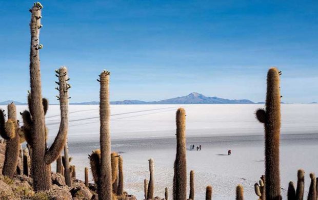 بهترین عکس های سال 2019 نشنال جئوگرافیک