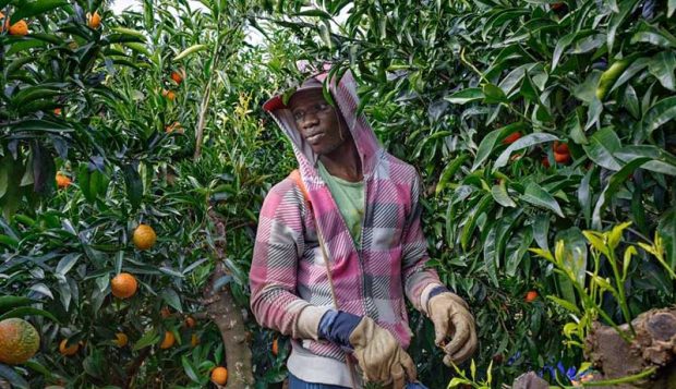 بهترین عکس های سال 2019 نشنال جئوگرافیک