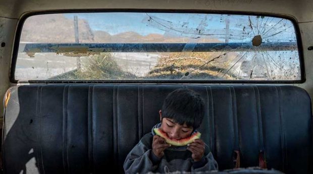 بهترین عکس های سال 2019 نشنال جئوگرافیک