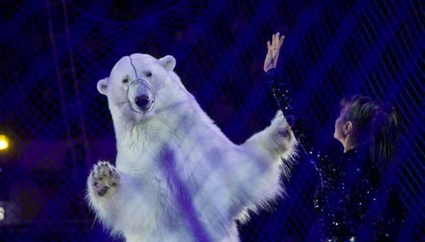 بهترین عکس های سال 2019 نشنال جئوگرافیک