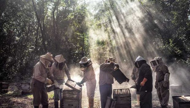 بهترین عکس های سال 2019 نشنال جئوگرافیک