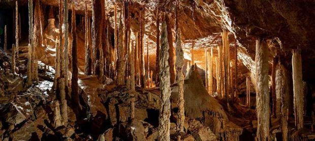 بهترین عکس های سال 2019 نشنال جئوگرافیک