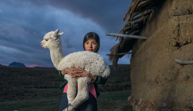 بهترین عکس های سال 2019 نشنال جئوگرافیک