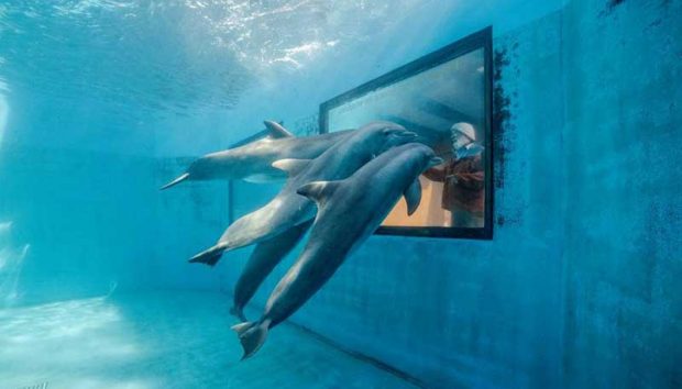 بهترین عکس های سال 2019 نشنال جئوگرافیک