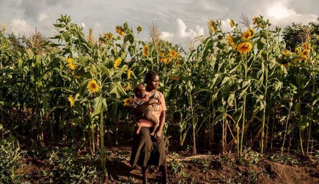 بهترین عکس های سال 2019 نشنال جئوگرافیک