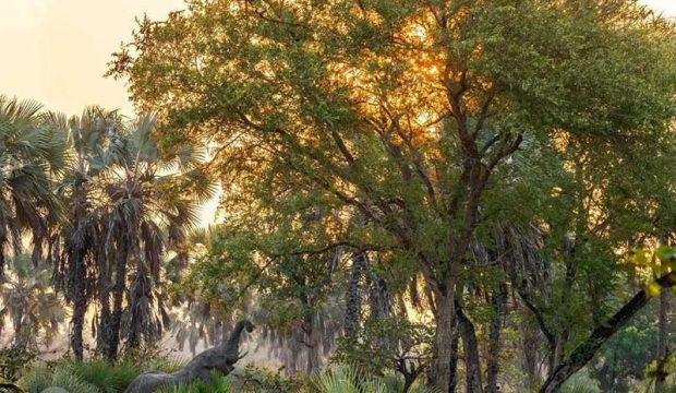 بهترین عکس های سال 2019 نشنال جئوگرافیک