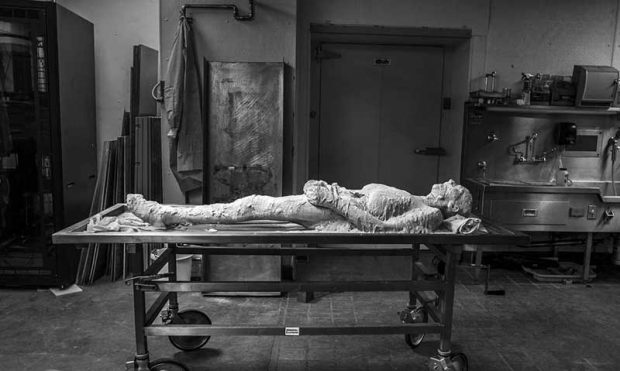 بهترین عکس های سال 2019 نشنال جئوگرافیک