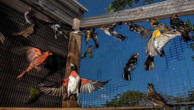 بهترین عکس های سال 2019 نشنال جئوگرافیک