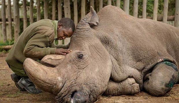 بهترین عکس های سال 2019 نشنال جئوگرافیک