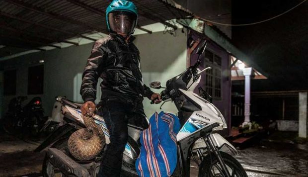 بهترین عکس های سال 2019 نشنال جئوگرافیک