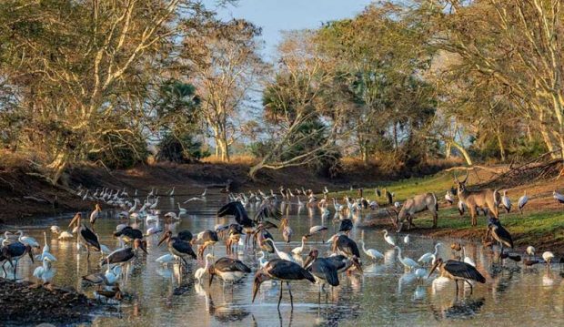 بهترین عکس های سال 2019 نشنال جئوگرافیک