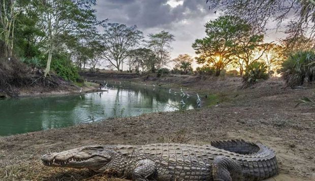 بهترین عکس های سال 2019 نشنال جئوگرافیک