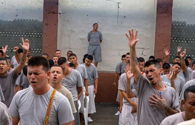 بهترین عکس های سال 2019 نشنال جئوگرافیک