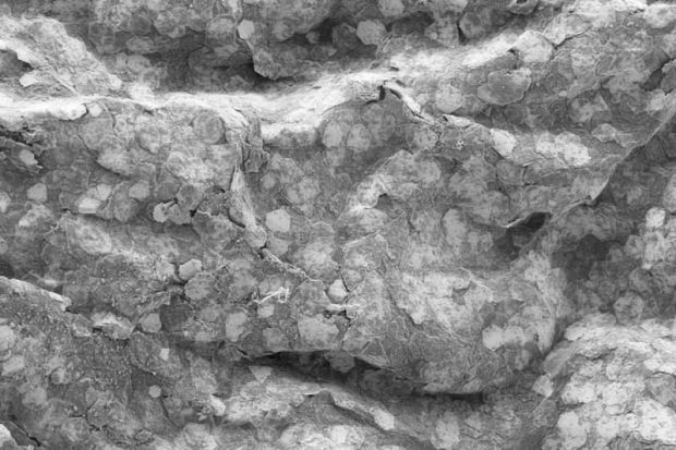 تولید طلا از پلاستیک چگونه امکان پذیر خواهد بود ؟ 2 تولید طلا از پلاستیک