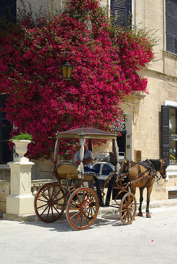 جزیره بیوک ادا