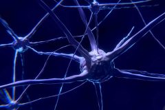 تاثیر تمرینات ایروبیک روی مغز