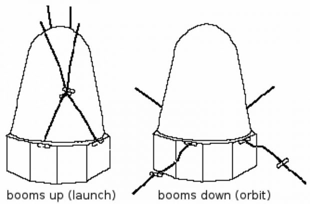 قورباغه‌ های فضانورد