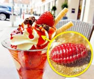 محتویات عجیب و غریب مواد غذایی