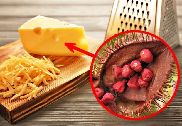 محتویات عجیب و غریب مواد غذایی