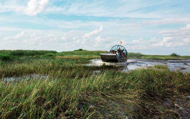 شهربازی طبیعی میامی لند را تماشا کنید ! 2 میامی لند