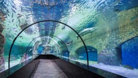 آکواریوم آکوا وگا Aqua Vega Aquarium