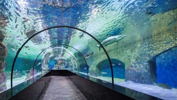 آکواریوم آکوا وگا Aqua Vega Aquarium
