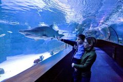 آکواریوم آکوا وگا Aqua Vega Aquarium