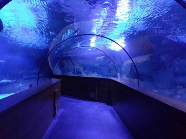 آکواریوم آکوا وگا Aqua Vega Aquarium
