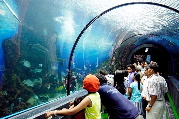 آکواریوم پوکت Phuket Aquarium
