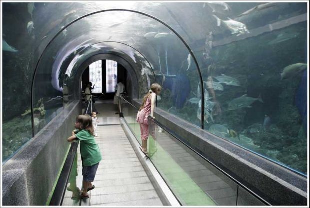 آکواریوم پوکت Phuket Aquarium