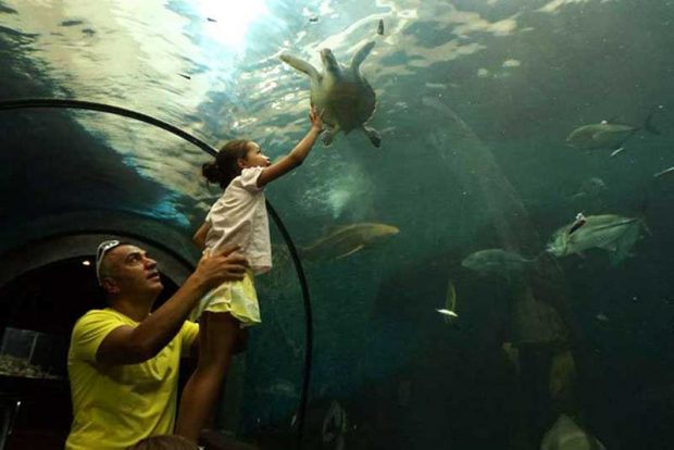 آکواریوم پوکت Phuket Aquarium