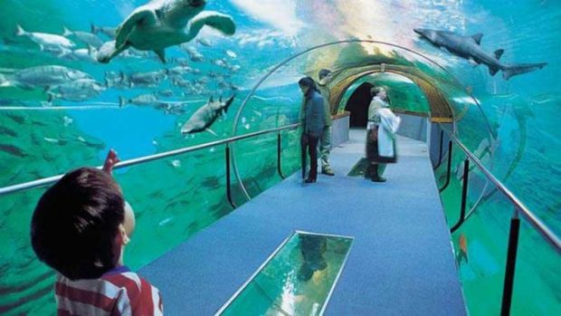 آکواریوم پوکت Phuket Aquarium