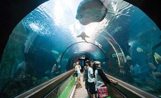 آکواریوم پوکت Phuket Aquarium