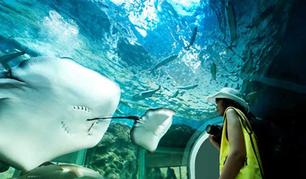 آکواریوم پوکت Phuket Aquarium