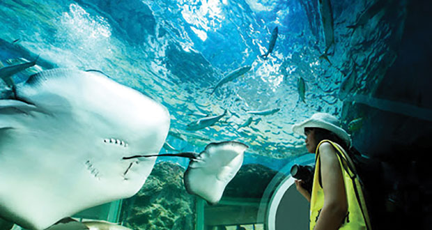 آکواریوم پوکت Phuket Aquarium