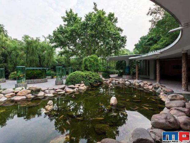 تماشای حیواناتی از سراسر جهان با بازدید از باغ وحش شانگهای 7 باغ وحش شانگهای